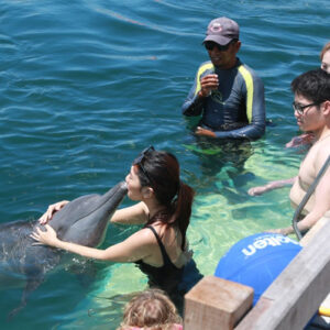 Dolphin interactions