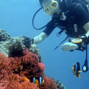 SSI Coral Identification specialty Course