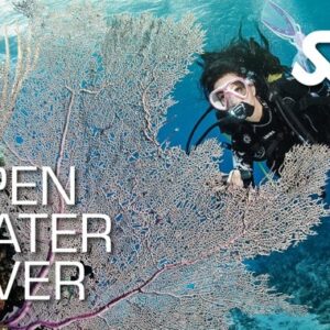 SSI Open Water Diver COURSE