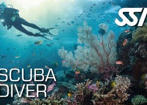 SSI SCUBA Diver Course